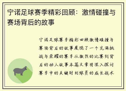 宁诺足球赛季精彩回顾:激情碰撞与赛场背后的故事