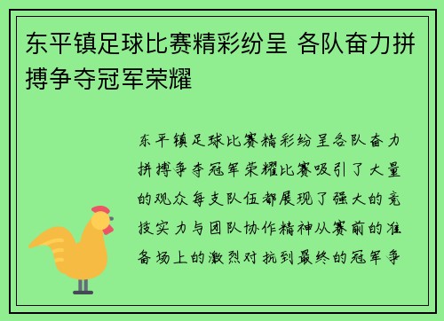 东平镇足球比赛精彩纷呈 各队奋力拼搏争夺冠军荣耀
