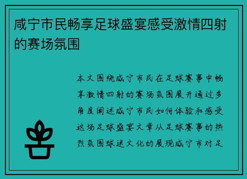咸宁市民畅享足球盛宴感受激情四射的赛场氛围