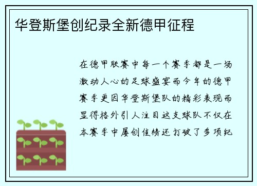 华登斯堡创纪录全新德甲征程