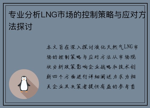 专业分析LNG市场的控制策略与应对方法探讨