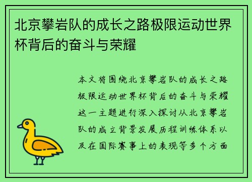 北京攀岩队的成长之路极限运动世界杯背后的奋斗与荣耀